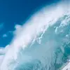 Bianca - @bianca_holman1 - TikTok