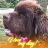 biancajansen05042001 - @biancajansen05042001 - TikTok