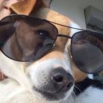 Bianca Koch - @bianca.koch.900 - Instagram