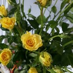 Bianca Lok - Facebook