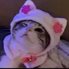 𝐛𝐢𝐚𝐧𝐜𝐚☽︎ - @biancamaher5666 - TikTok