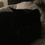 Luna&Puss - @biancamaher22019 - Instagram