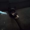 Bamy Wife Bianca Mapp - @bamy.wife.bianca - TikTok