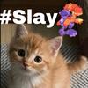 Miko_Kun_Slay - @bianca.mclean4 - TikTok