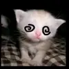 ¡ $ ! - @bianca.pierce - TikTok