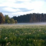 _erlkoenigin_ - @ibiancaplank0772 - Instagram