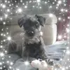 biancaplock - @biancaplock - TikTok