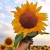 Bianca Powell - @bianca526 - TikTok