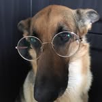 Bianca Power - @bianca4699 - Instagram