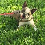bianca&roux - @bianca_roux.2 - Instagram