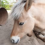 Bianca Schäfer - @biancaschafer4 - Instagram