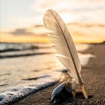 Bianca Schäfer - @ostseefeder - Instagram