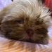 Bianca Uy - Facebook