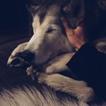 Bianca Waller - @biancawaller7 - Instagram