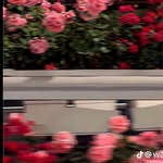 bianca warner - @biancawarner527 - Instagram