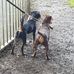 Bianca Watson - Facebook
