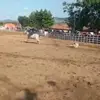BiancaWeaver - @biancaweavervzmpuu - TikTok