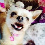 Binx Webb - @bianca_webb9 - Instagram