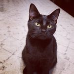 Bianca Weeks - @bibi___queen - Instagram
