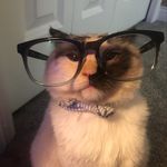 Bianca Weeks - @bldw10 - Instagram