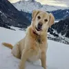 biancawilhelm756 - @biancawilhelm756 - TikTok