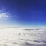 B - @bianca.wilkinson - Instagram