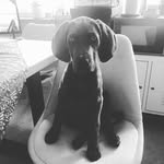 Bianca Wolff - @wolff2823 - Instagram