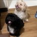 Bianka Yeagar - Facebook