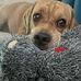 Bianca Young - Facebook