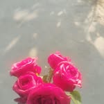 Bibhash Das - @single_boy_6256 - Instagram