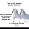 saahil - @bibi.abdul - TikTok