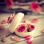 bibi Ashraf soltani - @bibiashrafsoltani - Instagram