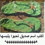 bibi aziz - @brahim.ouaziz.1 - Instagram