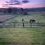 Bibibeck - @bibibeck81 - Instagram