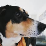 bibibecker5 - @bibibecker58 - Instagram