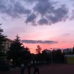 毕铭宇 - @bibicarter24 - Instagram
