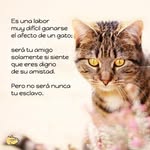 Bibi Castillo - @bibicastillo2023 - Instagram