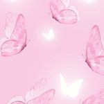 𝐌𝐦𝐞 𝐁𝐢𝐛𝐢 🎀 ✞︎ - @bibi._.chou1 - Instagram