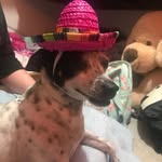 Speckles Bibi Clark - @specklesbibiclark - Instagram