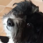 Birba Coletta - @bibi_coletta - Instagram
