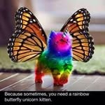 Bibi Collins - @bibscol - Instagram