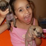 bibis - @bibicortezz - Instagram