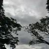 bibia_D'avila - @bibia_davila - TikTok