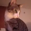 bibi76 - @bibi_camp - TikTok