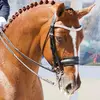 bibidiaz459 - @bibidiaz459 - TikTok