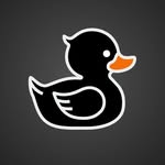 Black Duck BiBi - @blackduckbibi - Instagram