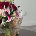 BiBi Elliot - Facebook