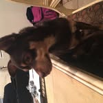 Bibi Fields - @bibi_fields_cute - Instagram