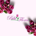 Bibi Flores - @bibifloresoficial - Instagram