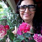 BIBI Plantas e Flores - Facebook